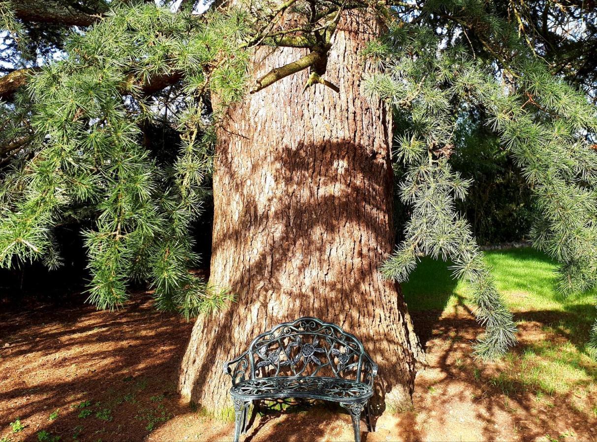 Domaine De Garat Bed & Breakfast Floirac  Eksteriør bilde