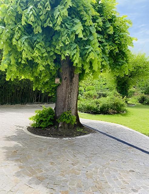 Domaine De Garat Bed & Breakfast Floirac  Eksteriør bilde